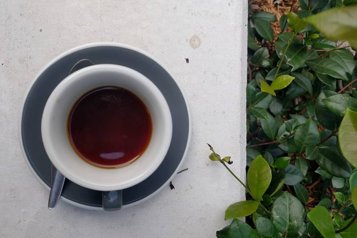 Black Coffee Friday Best Of Brisbane